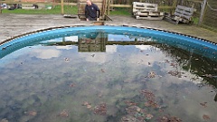 17-4 Poolen har været pænere